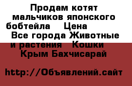 Продам котят мальчиков японского бобтейла. › Цена ­ 30 000 - Все города Животные и растения » Кошки   . Крым,Бахчисарай